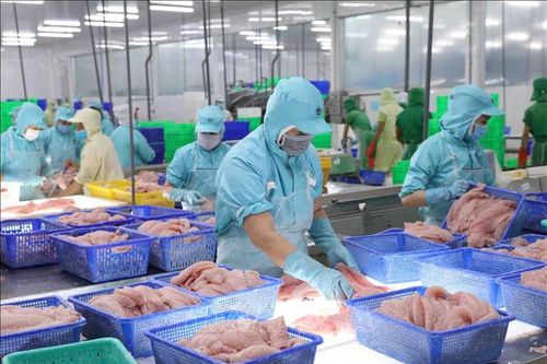 Thứ trưởng Phùng Đức Tiến: Xuất khẩu nông, lâm, thủy sản sẽ có tăng trưởng từ quý IV