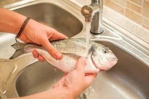 Cá mua về đừng bỏ ngay vào tủ lạnh: Làm theo cách này, để cả tháng vẫn tươi ngon, chắc thịt