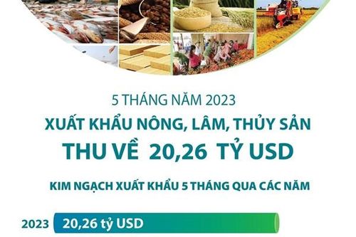 5 tháng: Xuất khẩu nông, lâm, thủy sản thu về 20,26 tỷ USD