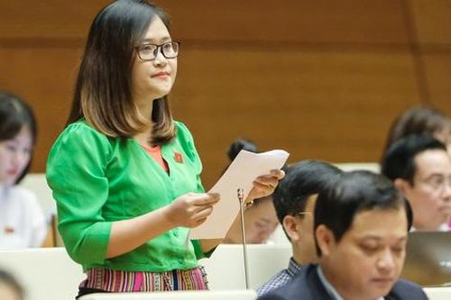 ĐBQH kiến nghị miễn học phí, tiền ăn trưa cho học sinh mầm non vùng núi, vùng đặc biệt khó khăn
