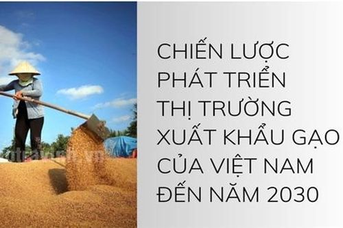 Việt Nam đặt mục tiêu cắt giảm xuất khẩu gạo 44% vào năm 2030