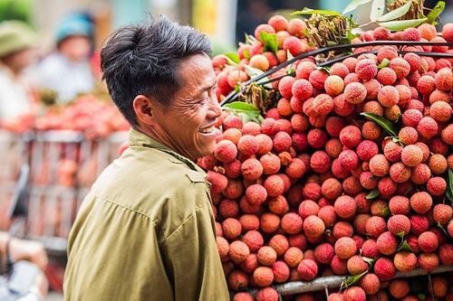 'Chắp cánh' cho quả vải, nhãn vươn ra thị trường quốc tế