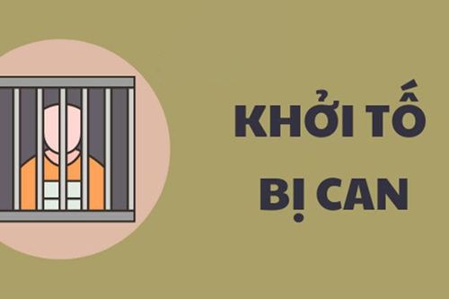 Khởi tố, bắt tạm giam nguyên Chủ tịch UBND xã Tấn Mỹ về tội 'Tham ô tài sản'