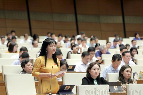 Cần có cơ chế riêng đối với nguồn vốn sự nghiệp của chương trình mục tiêu quốc gia