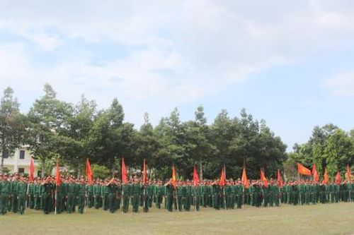 Lữ đoàn Công binh 293 mít tinh hưởng ứng Ngày thế giới không thuốc lá