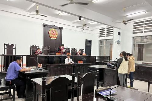 Nhóm trộm đồ ở bãi biển vào tù