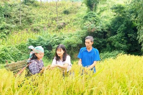 Lào Cai tập trung các giải pháp phát triển du lịch nông nghiệp, nông thôn trong xây dựng nông thôn mới