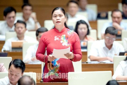 ĐBQH Ma Thị Thúy thảo luận về tình hình kinh tế - xã hội
