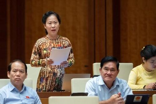 ĐBQH: Đề nghị tăng mức, mở rộng đối tượng được giảm thuế VAT
