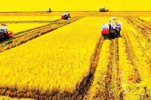 Cân nhắc việc chuyển nhượng vốn góp
