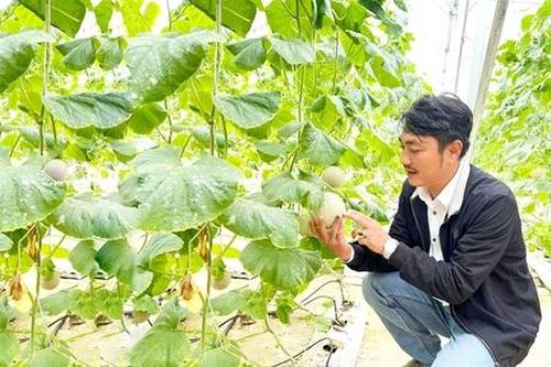 Nông dân xứ Nghệ tự tin làm nông nghiệp sạch