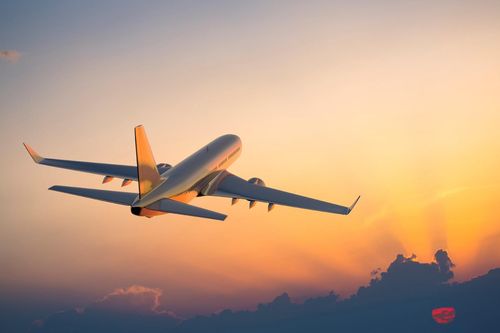 Vietnam Airlines và Bamboo Airways đứng đầu bảng xếp hạng thương hiệu du lịch 2023