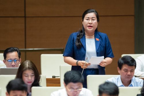 Đại biểu Quốc hội băn khoăn về mục tiêu tăng trưởng GDP ở mức 6,5%