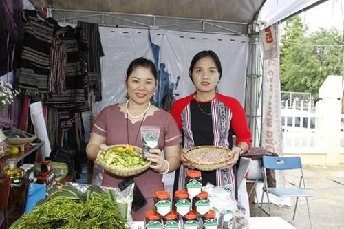 Khi thanh niên khởi nghiệp làm giàu