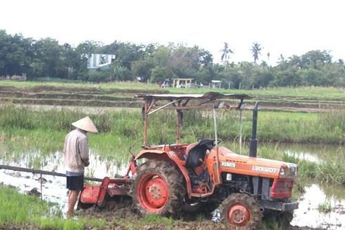Nông dân Quảng Nam cần mẫn làm việc giữa trời nắng nóng
