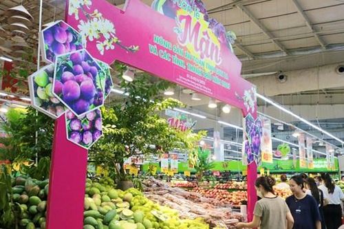 Tuần lễ mận và nông sản an toàn tỉnh Sơn La và các tỉnh, thành phố năm 2023
