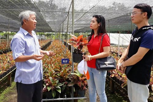 Thiếu bộ tiêu chí, du lịch xanh khó phát triển