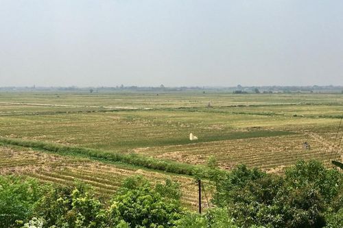 Huyện Mê Linh: Có hay không xã hội đen bảo kê máy gặt lúa?
