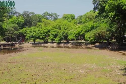 Nguyên nhân hồ trong công viên Bách Thảo cạn trơ đáy
