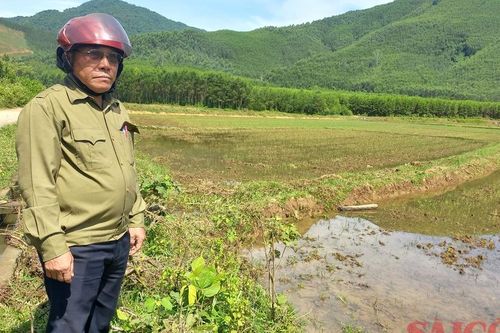 Nông dân Quảng Ngãi 'căng mình' chống hạn