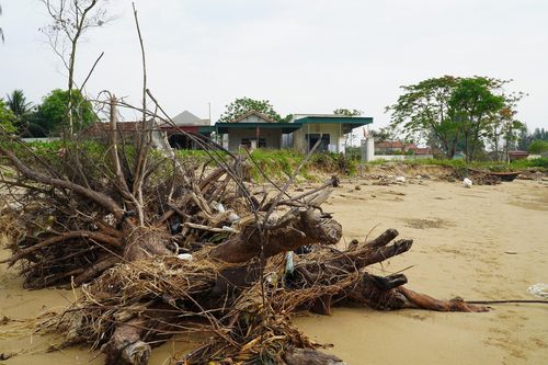 Dân phập phồng lo biển… 'nuốt' làng ở Thanh Hóa