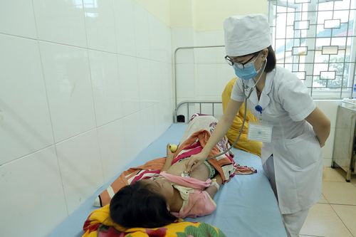 Điện Biên phát hiện 3 ổ dịch bệnh than trên người