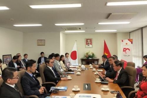 Tăng cường kết nối giữa các doanh nghiệp Bình Định và Osaka (Nhật Bản)