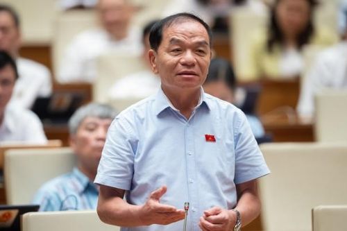Đại biểu Quốc hội Lê Thanh Vân: Cán bộ 'không hành động, không làm gì cả' cũng là vi phạm pháp luật