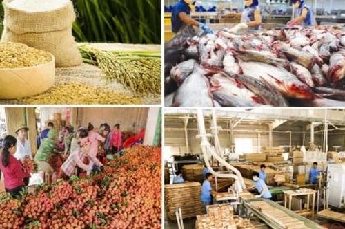 Xuất khẩu nông, lâm, thủy sản sẽ có tăng trưởng từ quý 4 năm 2023