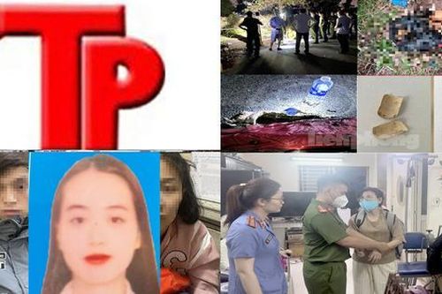 Bản tin Hình sự: Tin mới vụ bé sơ sinh bị bảo mẫu lương 60 triệu đồng/tháng bạo hành