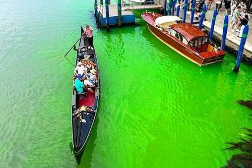 Lý giải chuyện nước kênh Venice bất ngờ chuyển màu xanh lét