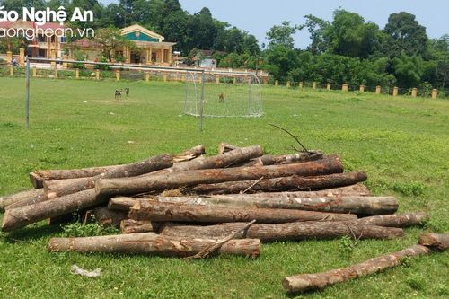 Những kiến nghị từ xã Thanh Hà sau vụ phá rừng trên núi Giăng Màn
