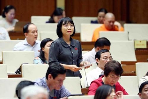 Quốc hội và chương trình giám sát lời hứa