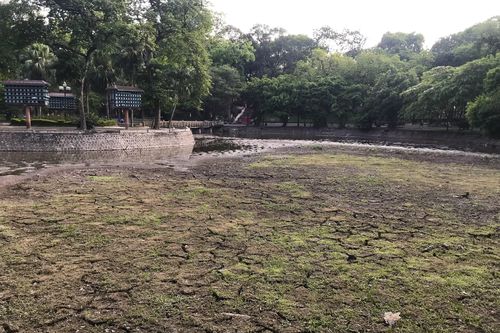 Nguyên nhân khiến hồ nước trong công viên Bách Thảo cạn trơ đáy