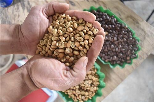 Phát triển thị trường tiêu thụ cà phê nội địa