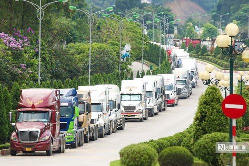 Không để tái diễn tình trạng nông sản bị ùn ứ tại cửa khẩu