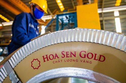 Hoa Sen Group: Cổ đông lớn xả hàng, cổ phiếu bị cắt margin