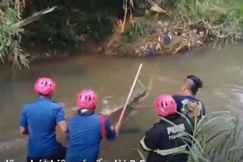 Lính cứu hỏa lao xuống kênh bắt cá sấu
