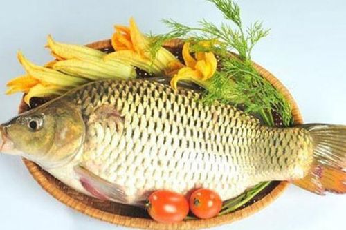 Những ai không nên ăn cá chép?