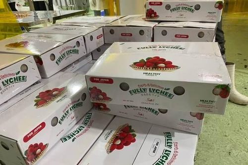 Định hướng phân phối trái vải, nhãn tại thị trường Thái Lan