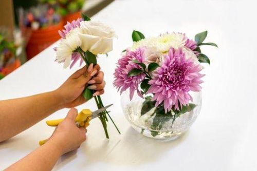 Cắm hoa đừng chỉ dùng nước lã: Thêm thứ này hoa nở đều, cả tuần vẫn tươi rói