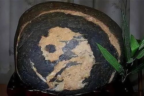 Nhặt được hòn đá có hình gấu trúc, người đàn ông vô tình mang 'kho báu' hơn 300 trăm tỉ về nhà