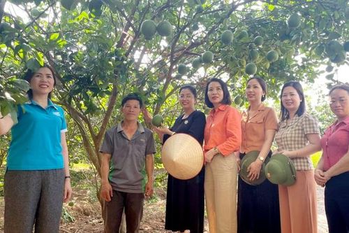 Tu Vũ (Phú Thọ): Mỗi năm đều có hội viên thoát nghèo