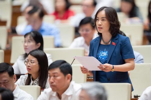 Đại biểu Quốc hội: Đưa mặt hàng thịt lợn vào danh mục bình ổn giá là khó khả thi
