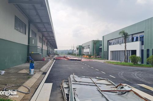 Doanh nghiệp hạ tầng tăng đầu tư nhà xưởng cho thuê