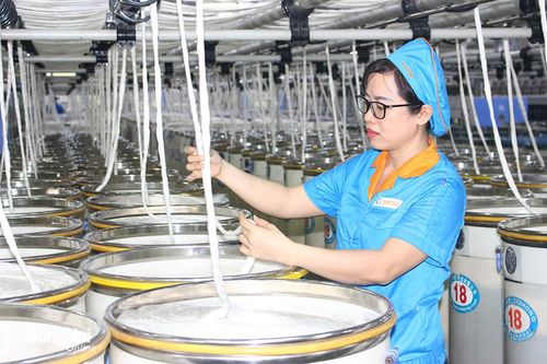 Doanh nghiệp sản xuất về đêm để giảm áp lực về điện