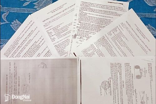 Bài 2: Hậu quả khôn lường của việc mua bán đất giấy tay