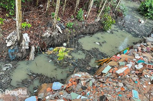 Kiểm tra 1 doanh nghiệp nghi gây ô nhiễm môi trường từ phản ánh của người dân
