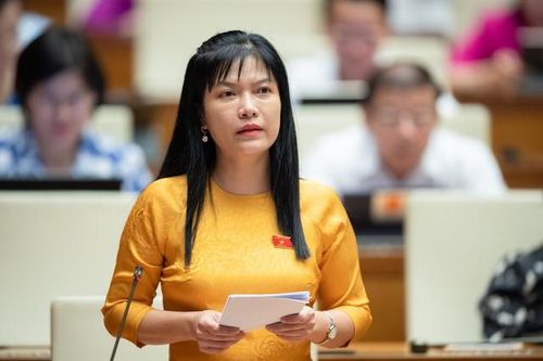 Đại biểu Quốc hội: Không để xảy ra tình trạng 'vượt quá khả năng dự báo'