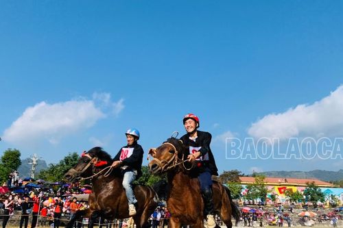 'Vó ngựa cao nguyên' sẵn sàng cuộc đua